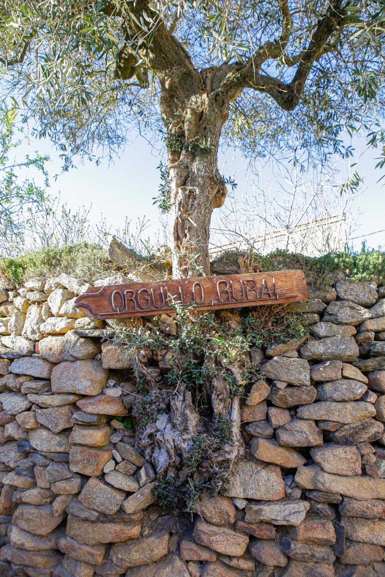 Casa Rural Therma Agreste Bermellar Buitenkant foto